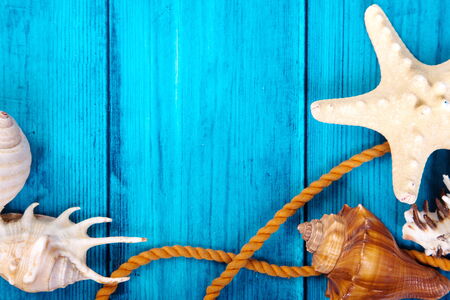 Summer theme blue background with space for advertising and maritime theme (seashells, starfish, sea knots, anchor)の写真素材