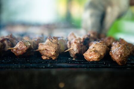 Cook. Juicy roasted kebab on grill close-up, blurred backgroundの写真素材