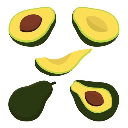 Avocado illustration vectorのイラスト素材