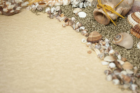 Sea shells with gravel の写真素材