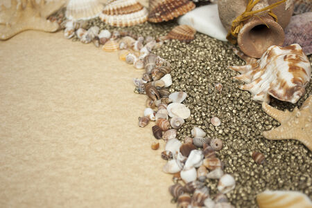 Sea shells with gravel as backgroundの写真素材