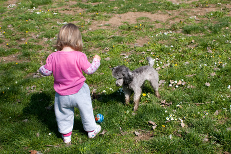 Little girl is playing with dogの写真素材
