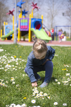 Little girl is picking flowersの写真素材