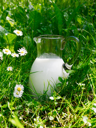 Jug of fresh milk in the grassの写真素材