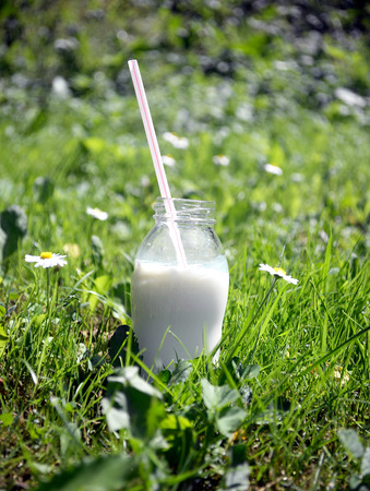 Fresh milk in a glass bottleの写真素材