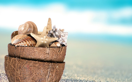 Decoration shells and starfish in coconut crustの写真素材