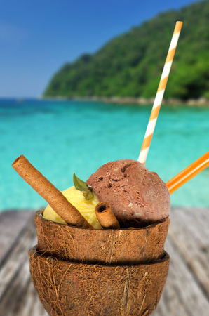 Delicious ice cream in coconut crustの写真素材