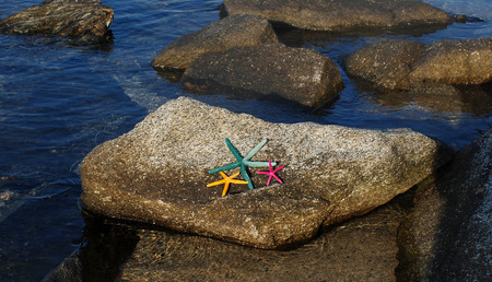 Colorful sea stars lying in the sandの写真素材