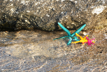Colorful sea stars lying in the sandの写真素材