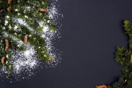 Winter background with evergreen tree and a few pineconeの写真素材