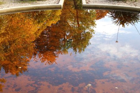 Water fountain reflecting autumn colored trees