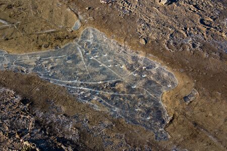 Frozen puddle with bubbles of air on a dirt road in winter