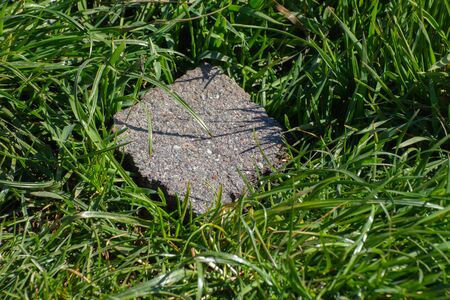 Chunk of Road pavement laying in the grass