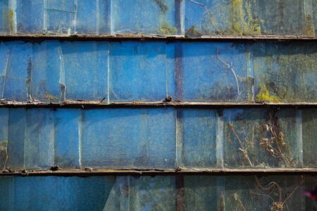 Old glass panel with ivy growing behind and reflecting blue sky as background