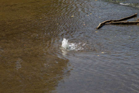 Water well gushing up under a riverの写真素材