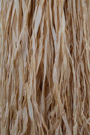 Loose hanging bast fiber for natural backgroundの写真素材