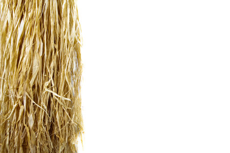 Loose hanging bast fiber hanging on the left side isolated on white background with copy spaceの写真素材