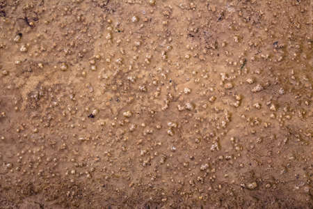 Frozen texture of a mud puddle for brown backgroundの写真素材