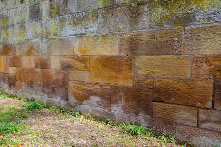 Old sandstone wall with colorful lichen and moss for backgroundの写真素材