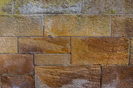 Old brown sandstone wall with colorful lichen and moss for backgroundの写真素材