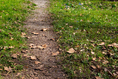 Narrow gravel footpath leading through the grass