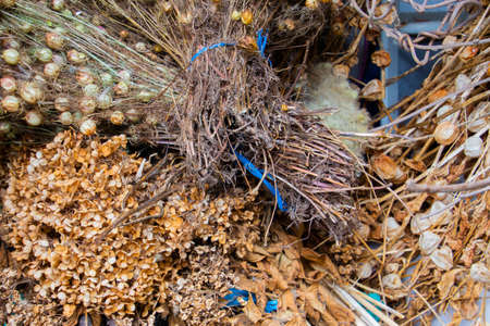 Bundle of different kinds of dry plants for decorationの写真素材