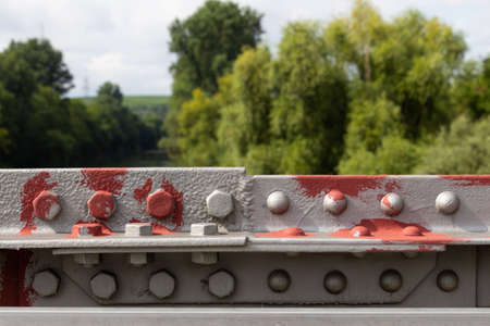 Top of a blooming cornfieldの写真素材