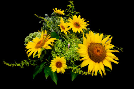 Flower arrangement with sunflowers isolated on black backgroundの写真素材