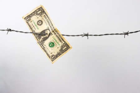 One dollar bill hanging on barbed wire with white background and copy spaceの写真素材