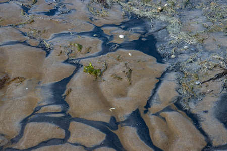 Black and brown sand forming a natural pattern during low tide in the north seaの写真素材