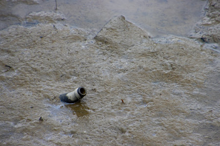 Beer bottle in the mud during low tide, concept of environmental pollution