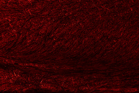 Crimson colored background with wavy textures of different shades of dark redの写真素材