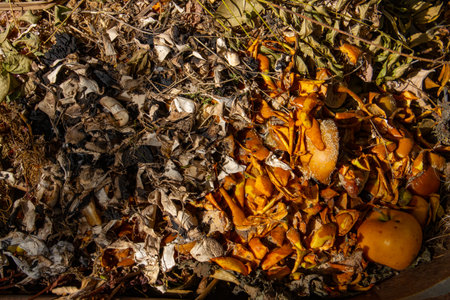 Organic waste for composting for natural background