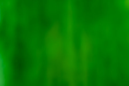 Green defocused abstract smooth asymmetric gradient backgroundの写真素材