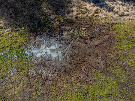 Aerial view of damage to wild boar in a meadowの写真素材