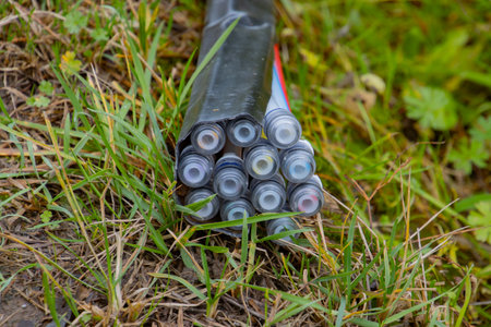 Bundle of fiber optic cables for fast internet laying in the grass at a construction siteの写真素材