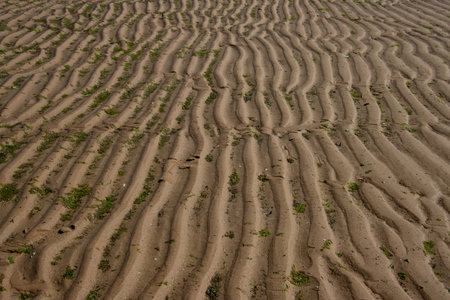Natural sand pattern at a beach for background
