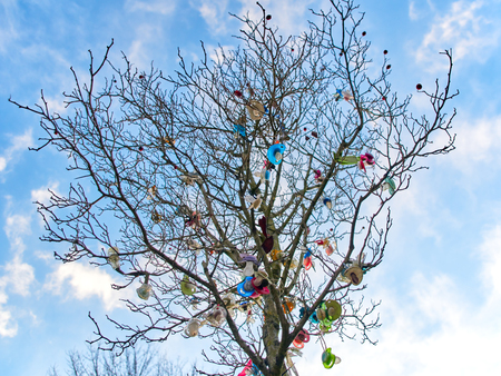 The soother tree against a blue Sky with many colorful baby pacifiers