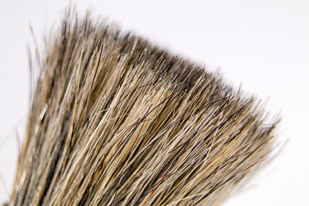 a close-up of a painter's brush with grey and white black bristles