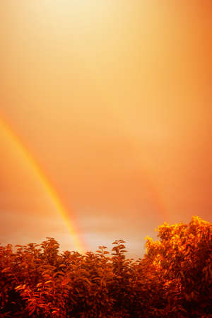 mystical bright orange yellow sky in autumn with rainbow over golden shining deciduous trees
