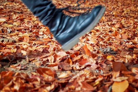 black shoe or boot floats or wanders through the forest floor beautifully covered with leaves and...
