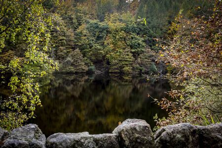 Autumn scene reflected in the waterの写真素材