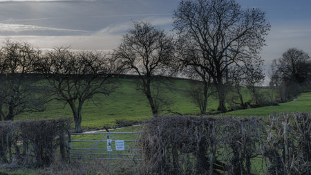 A view of a gate in the English countryside during the winter.の写真素材