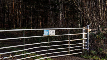 A closed metal gate in a forest. Focus on the gate.の写真素材