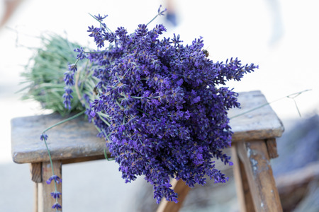 Levander bouquet on stairの写真素材