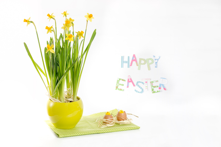 Easter decoration idea  - daffodil flowers, egg -shells and chickensの写真素材