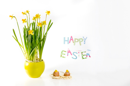 Easter decoration idea  - daffodil flowers, egg -shells and chickensの写真素材