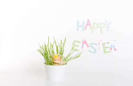 Easter decoration made of grass, egg-shell and chickenの写真素材