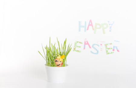 Easter decoration made of grass and egg-shell face with hairの写真素材
