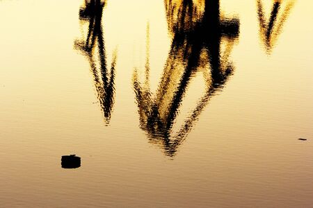 image of the heavy industry by the seaの写真素材
